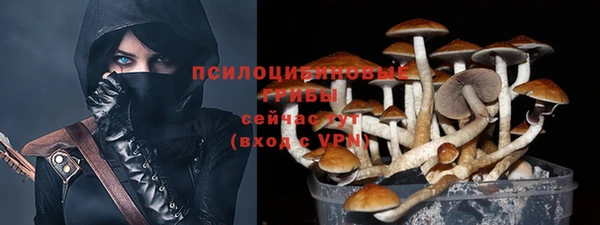 мяу мяу мука Алексеевка