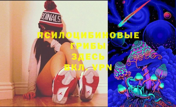 мяу мяу мука Алексеевка