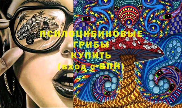 амф Алексин
